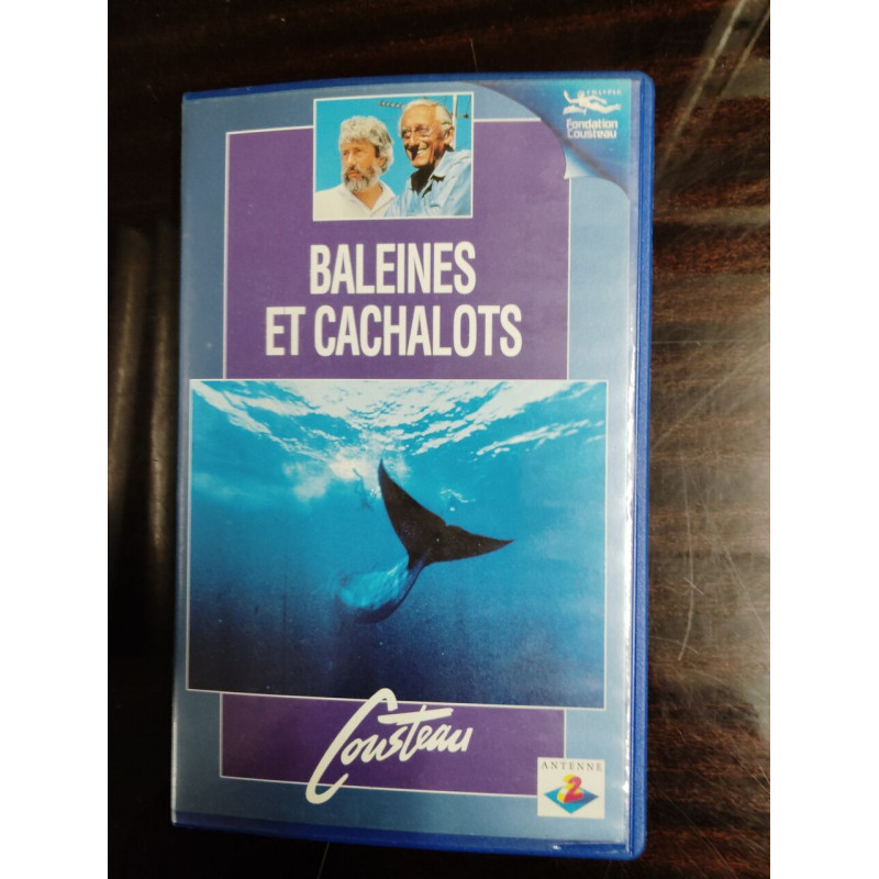 Baleines et cachalots