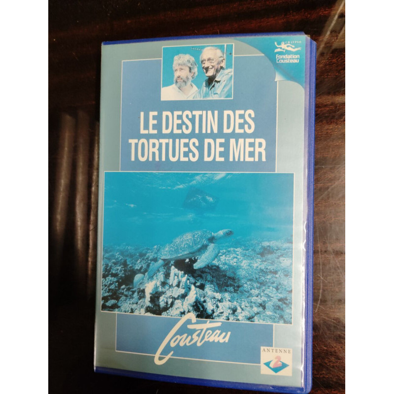 Le destin des tortues de mer