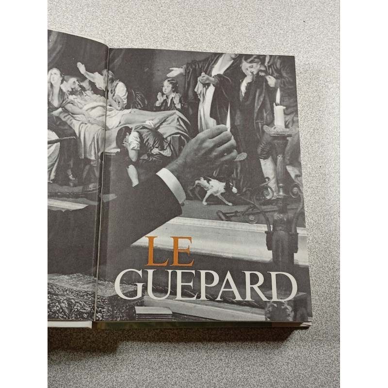 Le Guepard