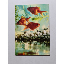 Le petit livre des poissons rouges