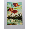 Le petit livre des poissons rouges