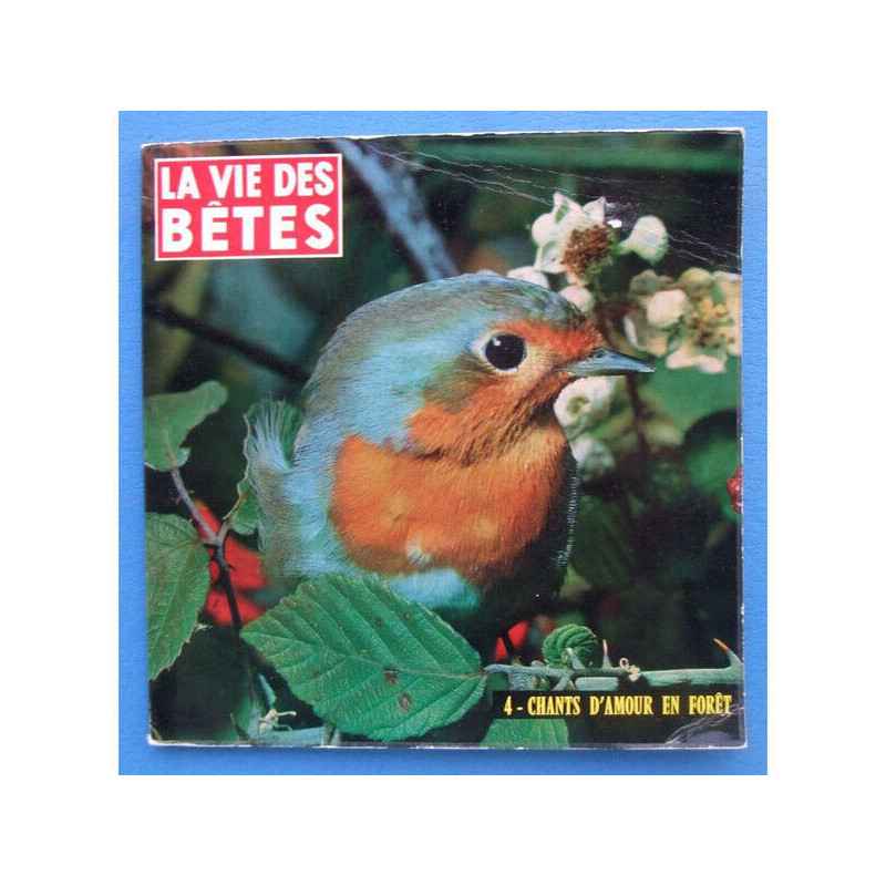 4 - Chants d'amour en Forêt