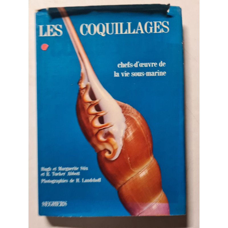 Les coquillages