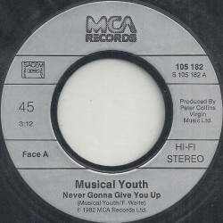 Never Gonna Give You Up