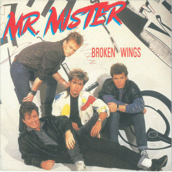 Broken Wings