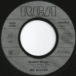 Broken Wings