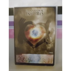 Dans l'Oeil des Enfoirés