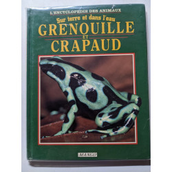 Grenouille et crapaud: Sur terre et dans l'eau