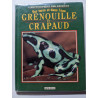 Grenouille et crapaud: Sur terre et dans l'eau