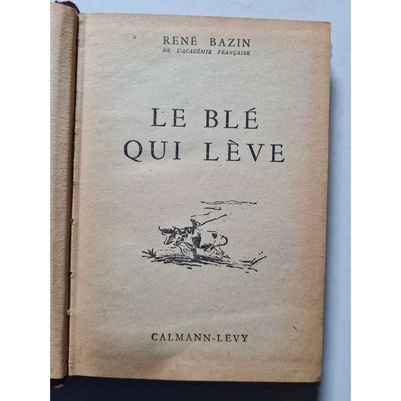 Le blé qui lève