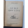Le blé qui lève