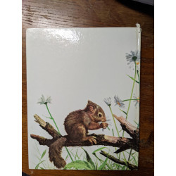 Les petits des animaux à la maison