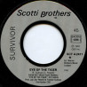 Eye Of The Tiger (Theme From Rocky III)