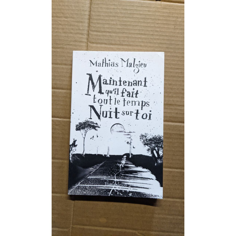 Maintenant qu'il fait nuit sur toi
