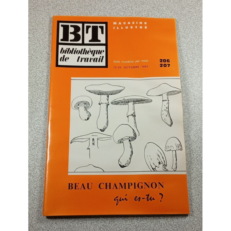 BT bibliothèque de travail n°206-207