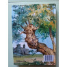 Robin des bois