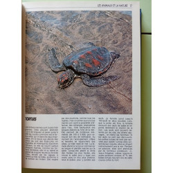 Géant : L'encyclopédie des curieux