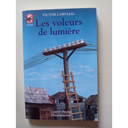 Voleurs de lumiere (Les): [nouvelles