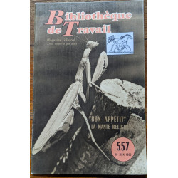 Bon apetit la mante relicieuse