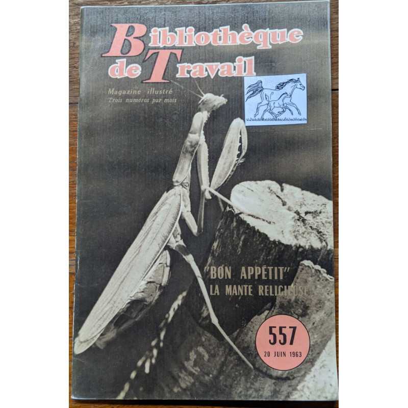 Bon apetit la mante relicieuse