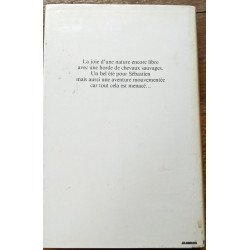 Un Ete Pour Sebastien