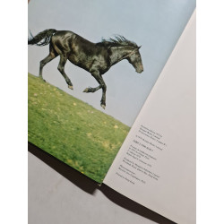La Passion des Chevaux