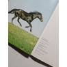 La Passion des Chevaux