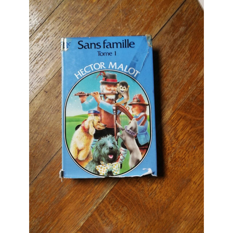 Sans famille tome I