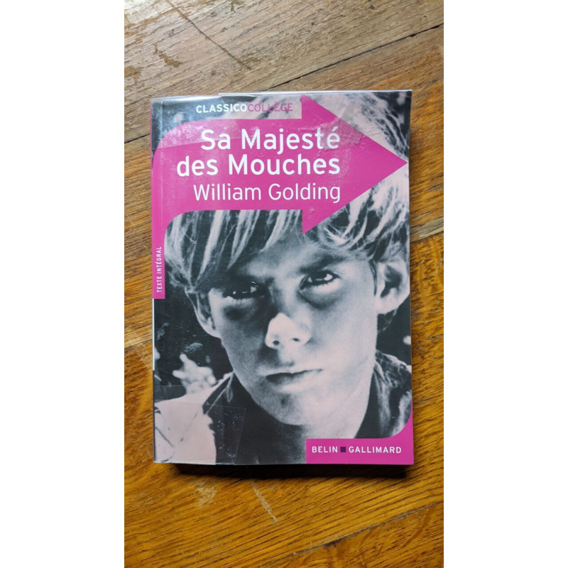 Sa majeste des mouches