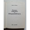 Cœurs Volcans et Chrysanthèmes