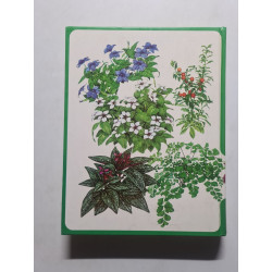 Guide des plantes d'intérieur