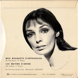 Mes Bouquets D'asphodeles