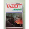 Niragongo ou Le volcan interdit