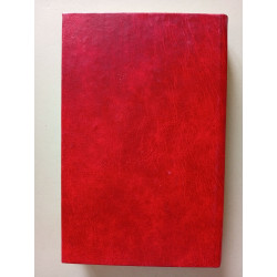 Cinq semaines en ballon