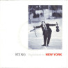 Englishman In New York
