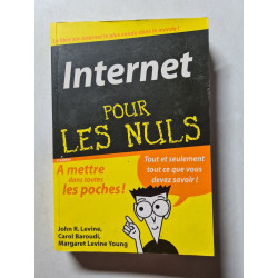 Internet pour les nuls
