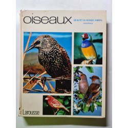 Oiseaux