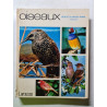 Oiseaux