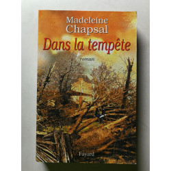 Dans la tempête