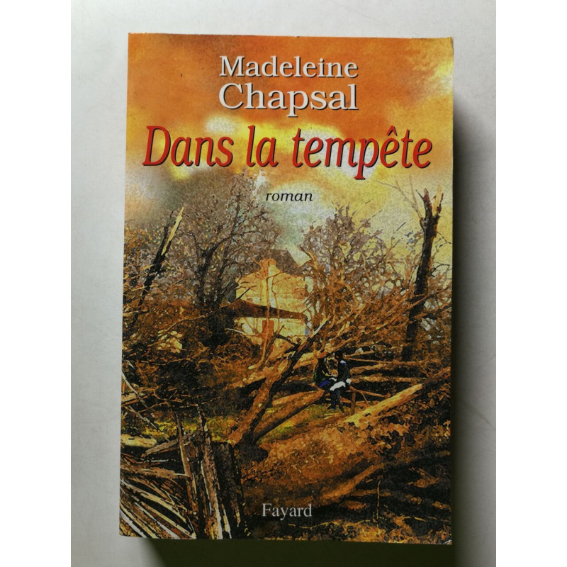 Dans la tempête