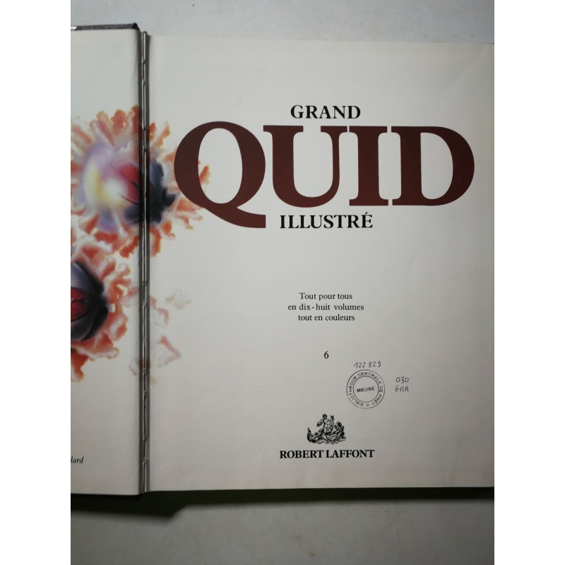 Grand Quid Illustré volume 6