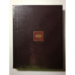 Grand Quid Illustré volume 15