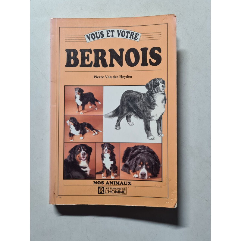 Vous et votre Bernois