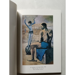 Picasso. Les chefs-d'œuvre de la Période rose