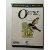 Les Oiseaux et la forêt