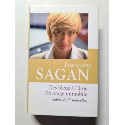 Des bleus à l'âme. Un orage immobile