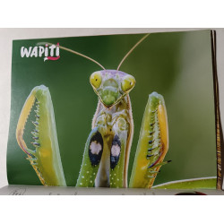 Wapiti on est bien proteges nº 437 - 2023