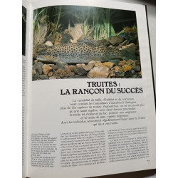 Fougue et jeunesse des rivières