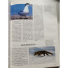Dictionnaire d'écologie 1