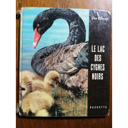 Le Lac des Cygnes Noirs